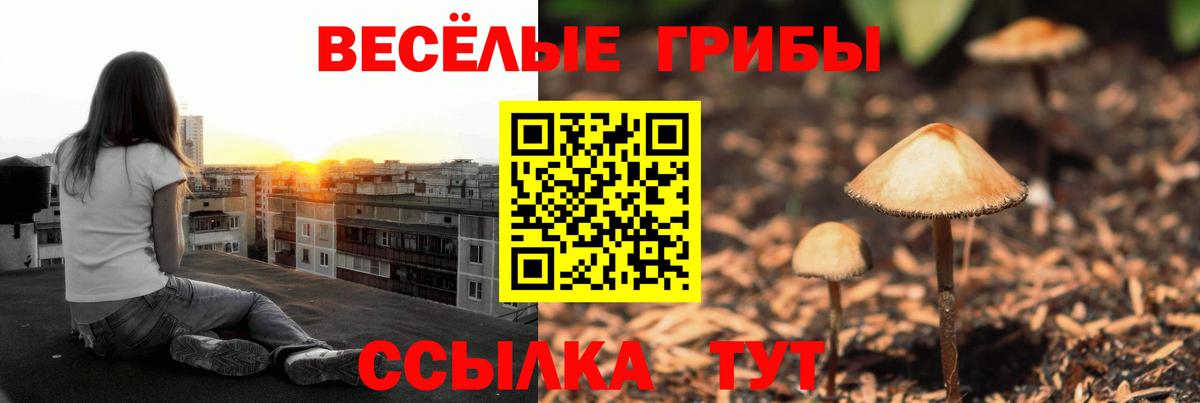 Псилоцибиновые грибы Cubensis  Вход с VPN  Галлюциногенные грибы прущие грибы  Мелеуз 